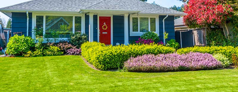 Landscaping Services