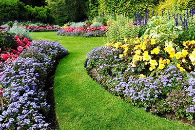 Landscaping Services